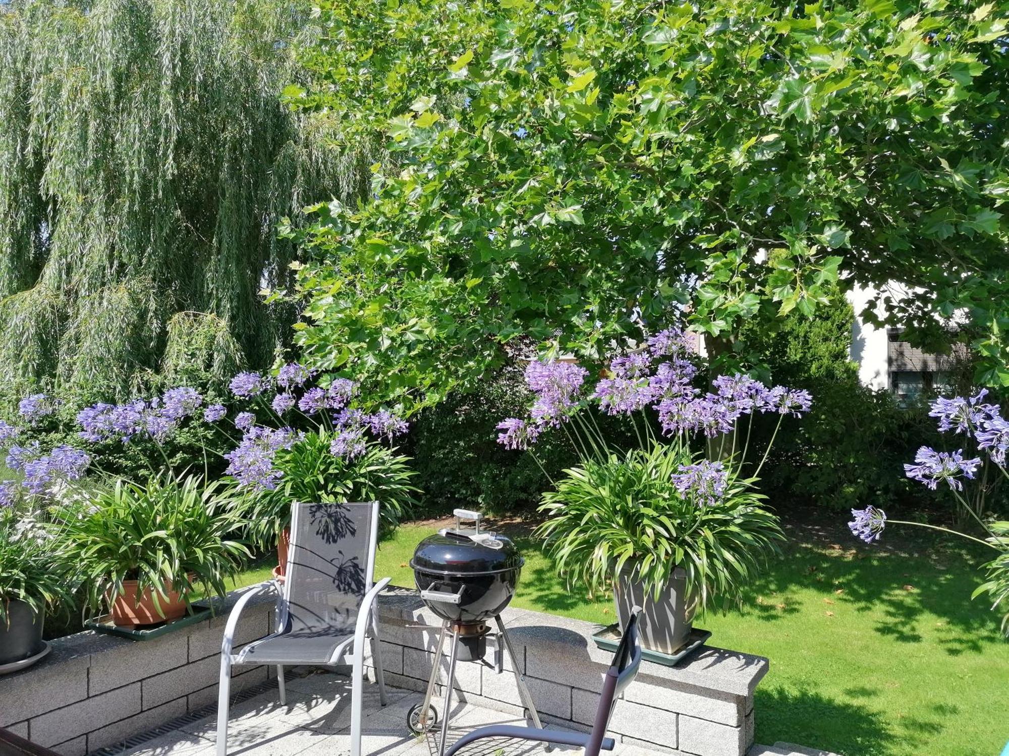 Pension Haus Anneliese Uckeritz Exteriér fotografie