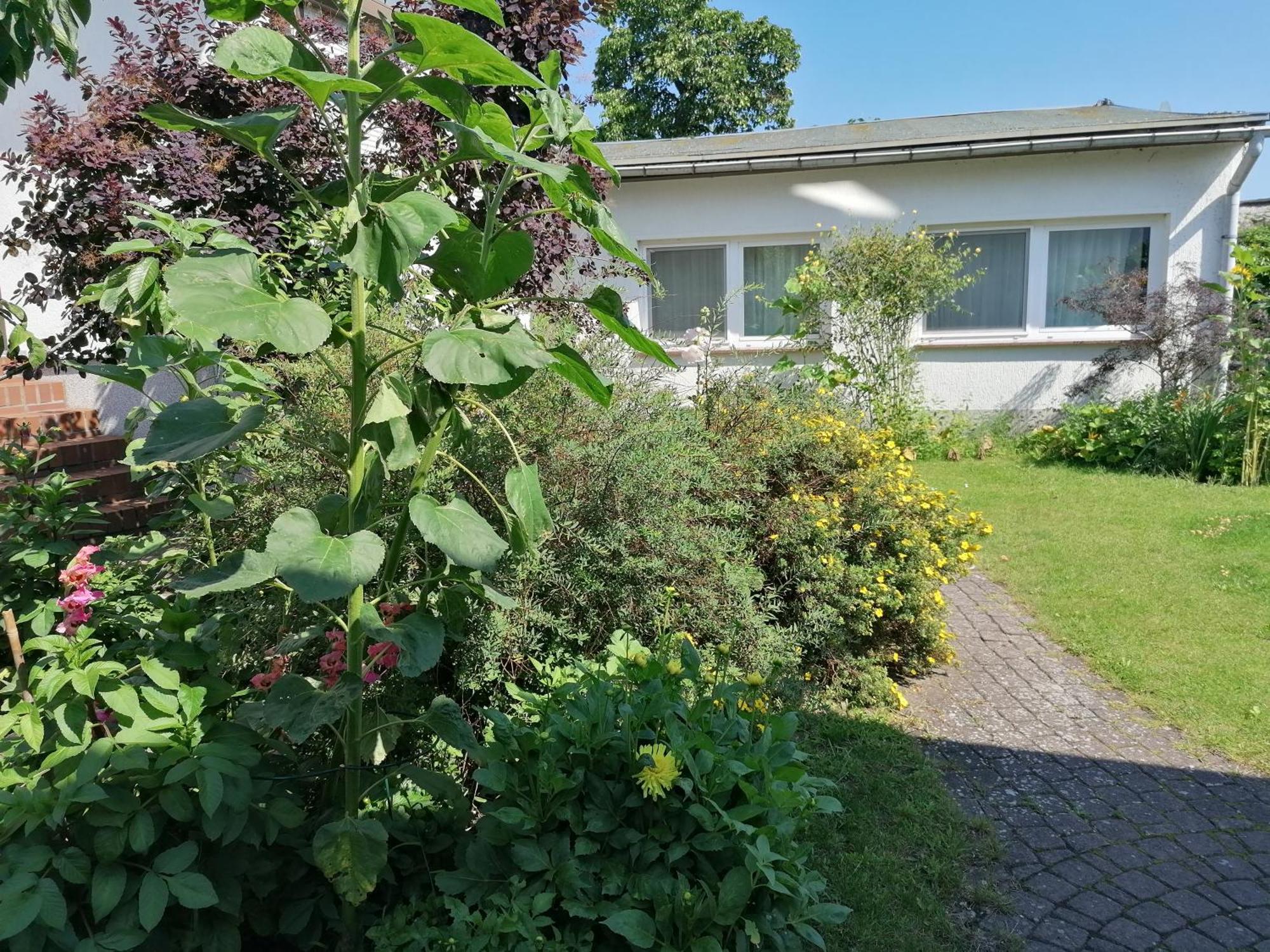 Pension Haus Anneliese Uckeritz Exteriér fotografie