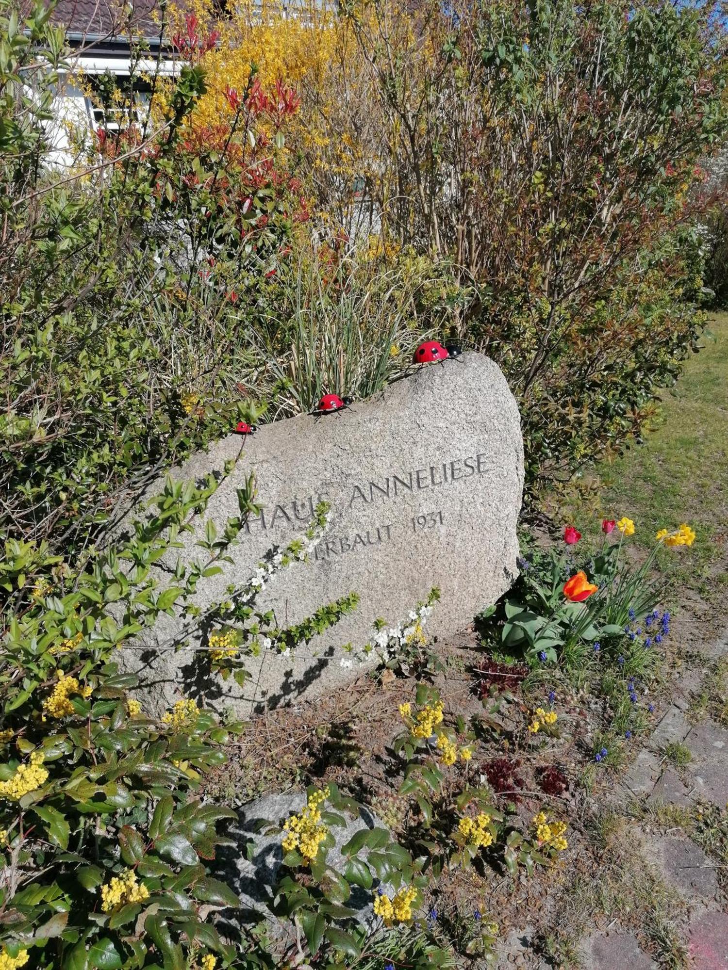 Pension Haus Anneliese Uckeritz Exteriér fotografie